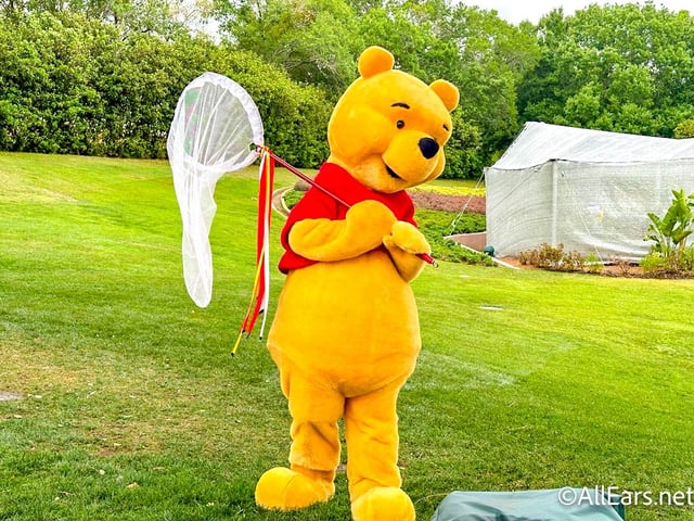 Winnie the Pooh