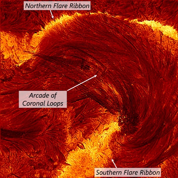 A high-resolution image of the flare from the Inouye Solar Telescope, taken on August 8, 2024, at 20:12 UT. The image is about 4 Earth-diameters on each side. Labels of the different relevant regions of the image are added for clarity: flare ribbons (bright areas of energy release in the dense lower solar atmosphere) and an arcade of coronal loops (arcs of plasma outlining magnetic field lines that transport energy from the corona to the flare ribbons). Image credit: NSF / NSO / AURA.
