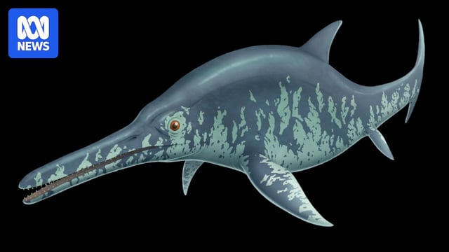 artist impression of marine reptile that looks a bit like a long nosed dolphin