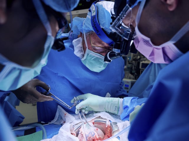 In this photo provided by NYU Langone Health surgeons lower a gene-edited pig kidney into Lisa Pisano's abdomen at the hospital New York on April 12 2024. Doctors transplanted organ Pisano who was near death part of dramatic pair surgeries that also included fix for her failing heart. (Joe Carrotta/NYU via AP