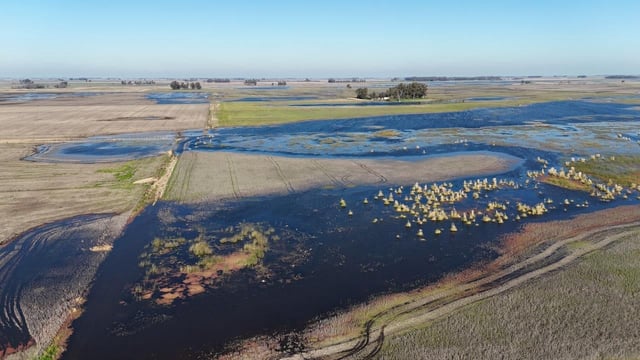 Carbap subrayó que “es indispensable una acción inmediata por parte de las autoridades provinciales y nacionales, a fin de poner a disposición de los productores y municipios herramientas que permitan paliar el impacto”