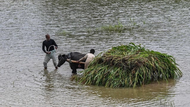 Severe weather is set to “continue into early September’, raising risks of more disasters in Pakistan, the UN Office for the Coordination of Humanitarian Affairs had said on Aug 21.