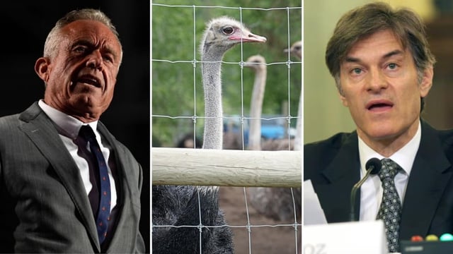 U.S. Health Secretary Robert F. Kennedy, Jr., left, and U.S. Centers for Medicare and Medicaid Services administrator Dr. Mehmet Oz, right, have called on Canadian officials to reverse a CFIA  order to have a group of ostriches on a B.C. bird farm killed.