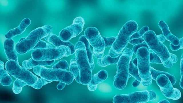 Legionnaires’ Disease Outbreak in NYC Claims 6 Lives, 112 Cases Reported, Symptoms to Watch For