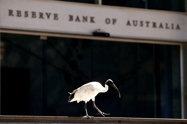 An ibis bird perches next to the Reserve Bank of Australia headquarters in central Sydney, Australia February 6, 2018. REUTERS/Daniel Munoz/File Photo