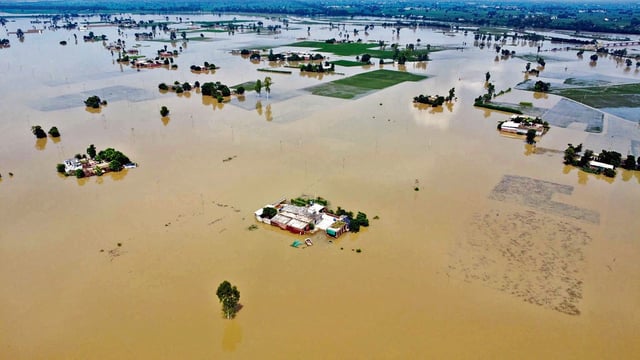 Swathes of farmland submerged under floodwater in Kapurthala. (HT)