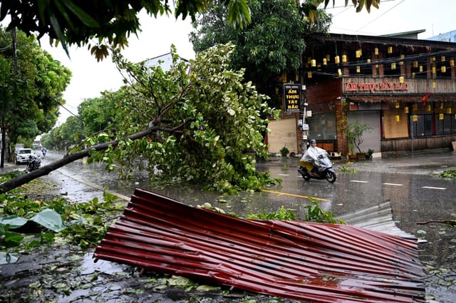 Un arbre abattu par le passage du typhon Kajiki  à Vinh, dans la province de Nghe An, le 26 août 2025 au Vietnam