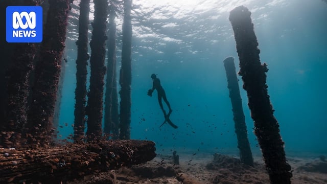 Underwater shot of a shipwreck with a scuba diver looking through it