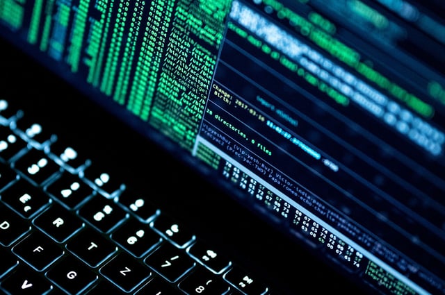 16 December 2021, Baden-Wuerttemberg, Rottweil: A hacker software is open on a laptop. Photo: Silas Stein/dpa (Photo by Silas Stein/picture alliance via Getty Images)