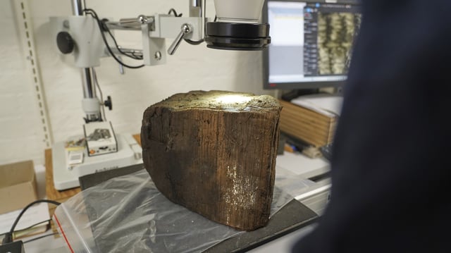 A suspected Stone Age tree trunk, unearthed at an 8,500-year-old coastal settlement submerged by sea level rise in the Bay of Aarhus Aarhus Denmark. Aug.18, 2025. (AP Photo/James Brooks)