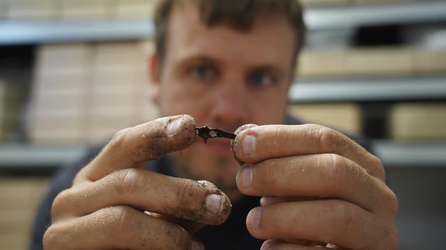 Underwater archaeologist Peter Moe Astrup inspects a tiny animal bone, unearthed at an 8,500-year-old Stone Age coastal settlement submerged by sea level rise in Bay of Aarhus in Aarhus, Denmark. Aug.18, 2025. (AP Photo/James Brooks)