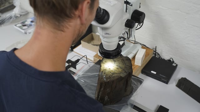 Dendrochronologist Jonas Ogdal Jensen looks at a suspected Stone Age tree trunk, unearthed at an 8,500-year-old coastal settlement submerged in his lab at Moesgaard Museum in Aarhus, Denmark. Aug.18, 2025. (AP Photo/James Brooks)