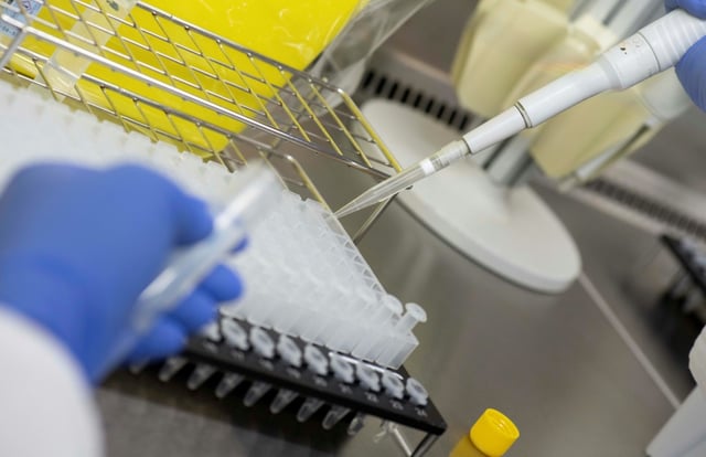 Rund ein Drittel der Menschen geht Informationen zu schweren Krankheiten wie Krebs und Diabetes aus dem Weg. Das zeigt eine Analyse des Max-Planck-Instituts für Bildungsforschung. Dazu gehört die Vermeidung von Arztbesuchen oder Tests.