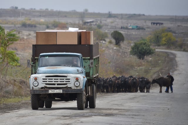 A man drives a truck loaded with refugees' belongings and a herd outside Agdam, on November 19, 2020.