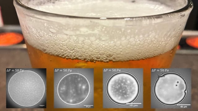 Wave interference (interferometry) images of beer bubbles, superimposed onto a glass of foamy beer.