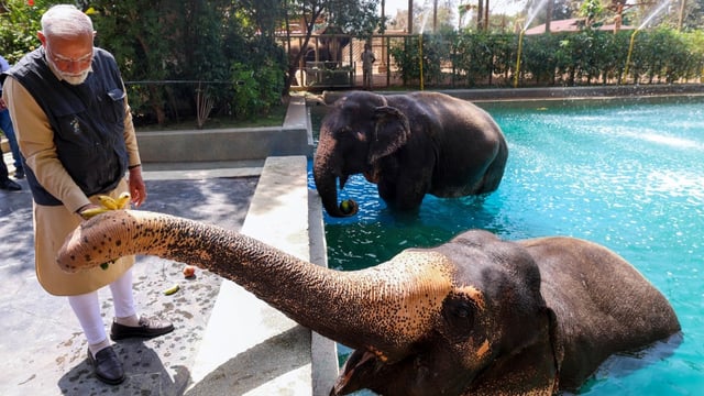 Narendra Modi, the Indian prime minister, visited the zoo in March
