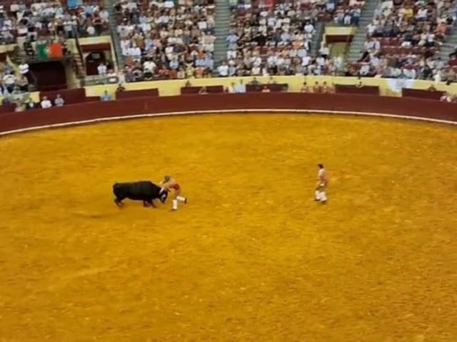 La trágica muerte de un joven de 22 años reaviva el debate por las corridas de toros. Foto: x.com/Alziramiranda.