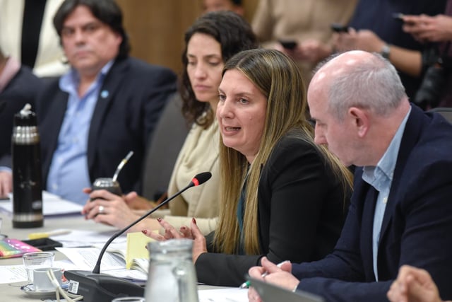 Silvia Lospennato en la Comisión de Peticiones, Poderes y Reglamento, durante el debate sobre la comisión investigadora del fentanilo (Foto: HCDN)