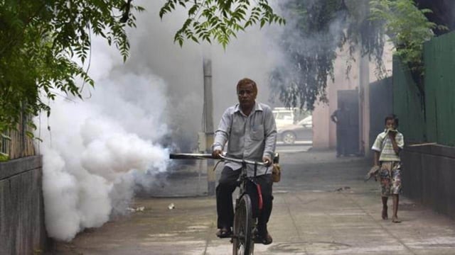 MCD officials said they have intensified the drive against mosquito borne diseases (HT Archive)