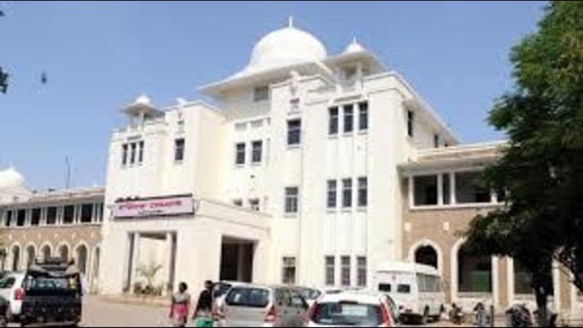 A stray dog was seen carrying an infant’s severed head near the ward number 4 of Government Rajindra Hospital in Patiala on Tuesday evening.