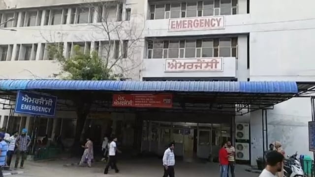 A street dog was seen carrying the severed head of an infant near ward no.4 of Rajindra Hospital in Patiala.