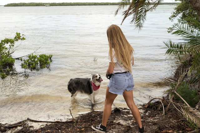 Sophie Nocera, 21, a senior at Eckerd College, plays with her dog Zuco on Wednesday, Aug. 20, 2025 in St. Petersburg, Fla. (AP Photo/Tina Russell)