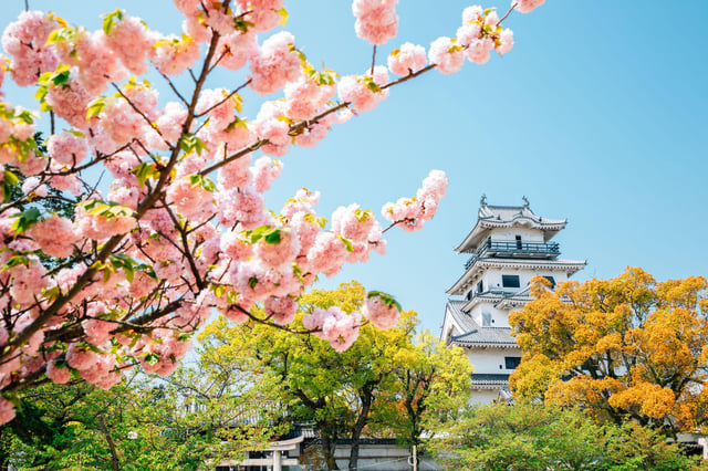 In Imabari, Japan, officials received a large number of complaints over a scheme to make the city "hometown" for a partner country in Africa