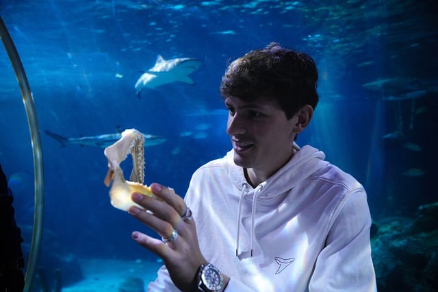 The study's lead author Maximilian Baum holds the jaw of a shark.