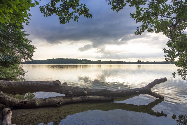 Der Behler See nahe Plön in Schleswig-Holstein (Archivbild).