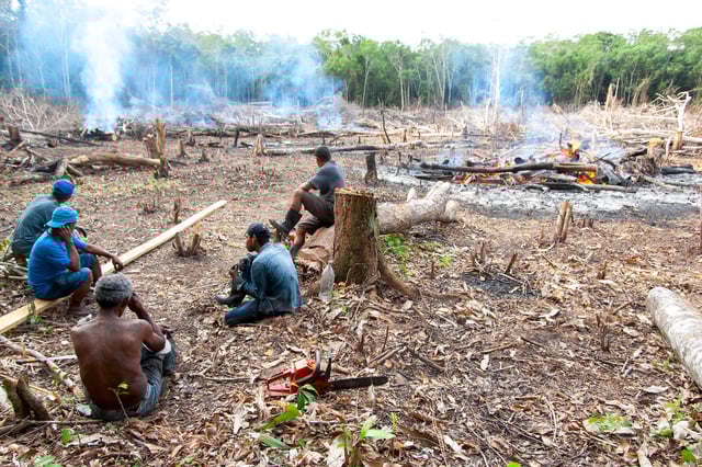 Workers sitting in a deforested and burned area of the Brazilian Amazon. Credit: FRANCESCO GARLASCHELLI / Alamy Stock Photo