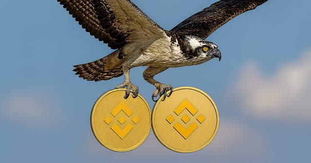 REX-Osprey files for BNB staking ETF after SOL ETF launch