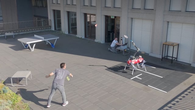 Robot dog playing badminton with human being