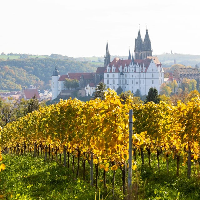 Das Weingut Schloss Proschwitz in Meißen