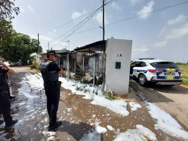 Agentes de la Policía Local de València en la vivienda de Carpesa en la que se ha producido un indencio este miércoles.