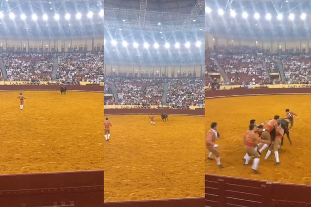 Murió un torero en Portugal (Captura de video).