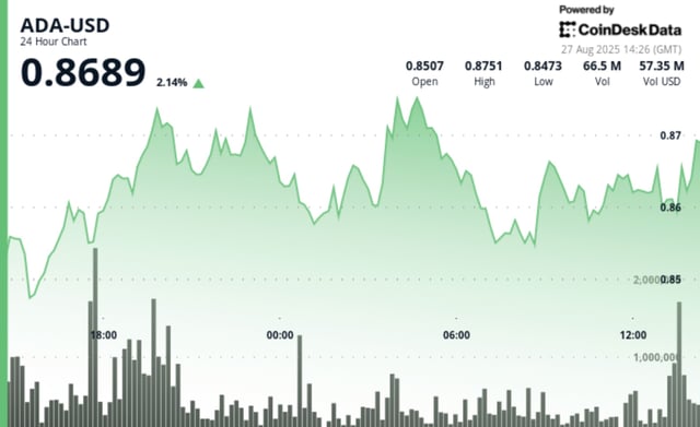 Cardano gains 2%, shrugs off etf delay