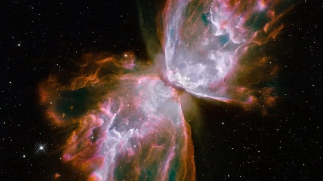 Nebula Butterfly