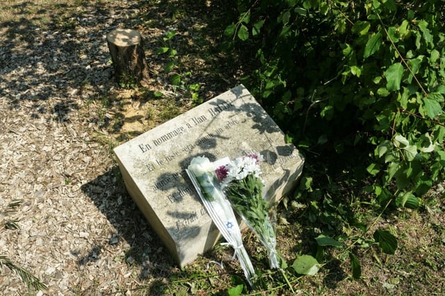 An olive tree, planted in 2011 in Halimi's memory, was felled