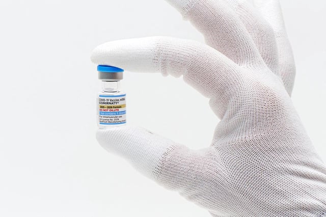 En esta imagen difundida por Pfizer en agosto de 2025 se muestra una ampolleta de la vacuna actualizada contra el COVID-19, Comirnaty. (Pfizer vía AP)