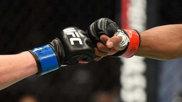 (via Zuffa LLC)