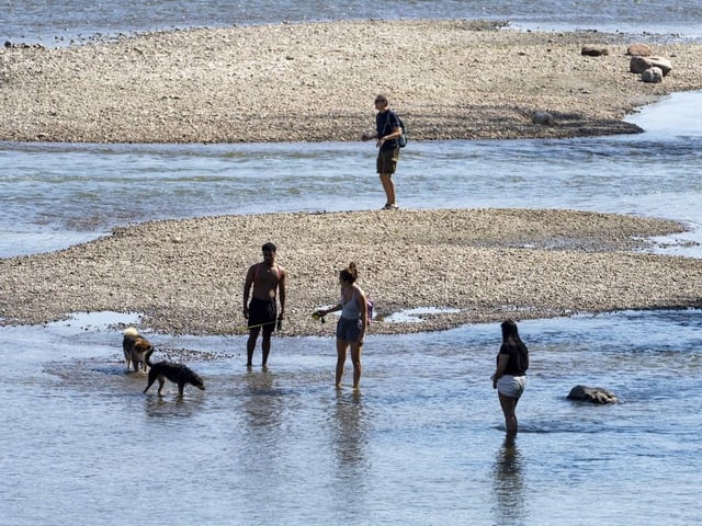 People and pets stay cool in the North Saskatchewan River at Accidental Beach on Wednesday, August 27, 2025, in Edmonton as temperatures hit 31 C. Greg Southam-Postmedia