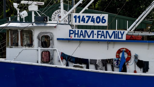 Shrimp boats in Bayou La Batre, Ala., on Thursday July 24, 2025.
