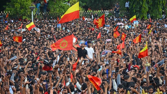 RCB's IPL title celebration turned into a nightmare on June 4