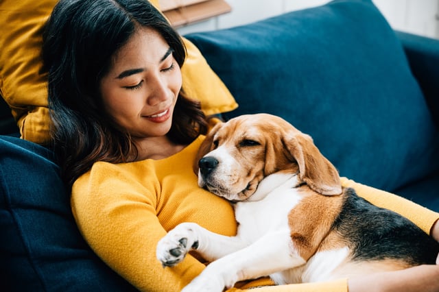 Girl smiling and relaxing while cuddling sleeping dog.
