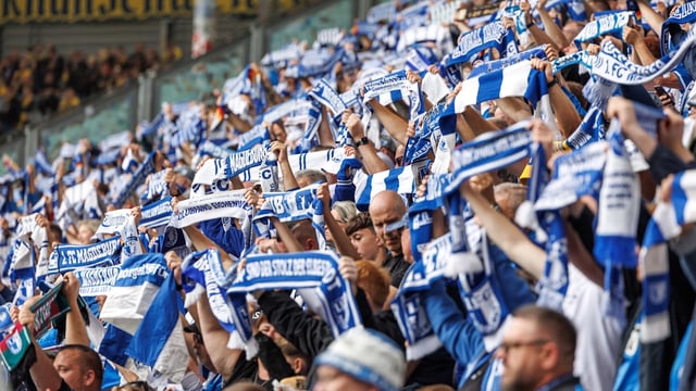 Magdeburgs U23 gewann 4:3 gegen BFC Dynamo, die Fans sind dennoch verärgert.