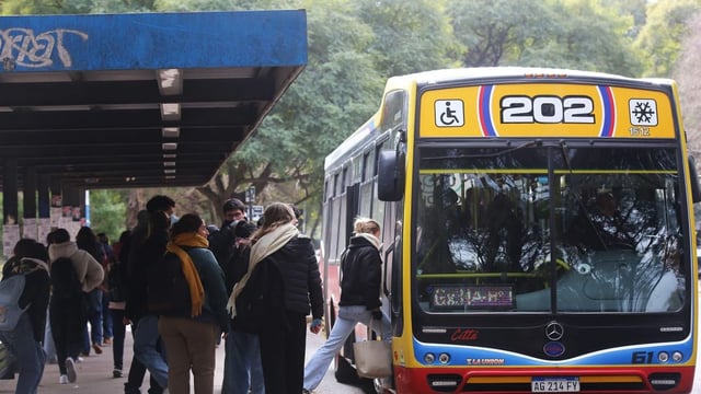 La medida abarca a las elecciones nacionales de octubre y las provinciales de septiembre.