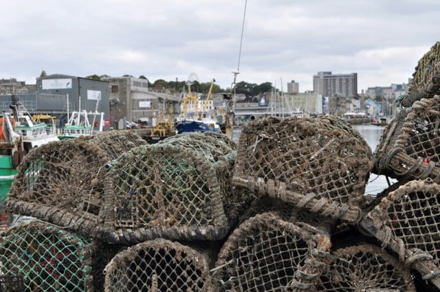 Des casiers à crabes sur un quai du port de Plymouth, dans le sud-ouest de l'Angleterre, le 21 août 2025