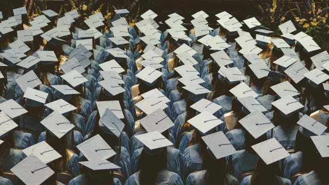 IIT Kanpur’s JEE Advanced 2025 report revealed Kota’s dominance, with every fourth IIT admission and half of the top-100 rankers coming from the Rajasthan coaching hub.