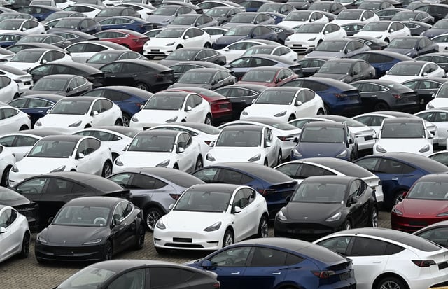 Tesla electric cars are stationed in a storage area in the Zeebrugge port, northern Belgium on June 21, 2024.