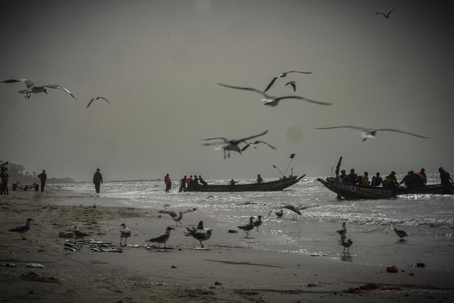 Artisanal fishermen head out to fish in their boats at dusk from Brufut beach, Gambia, on March 25, 2025. (AP Photo/Grace Ekpu)